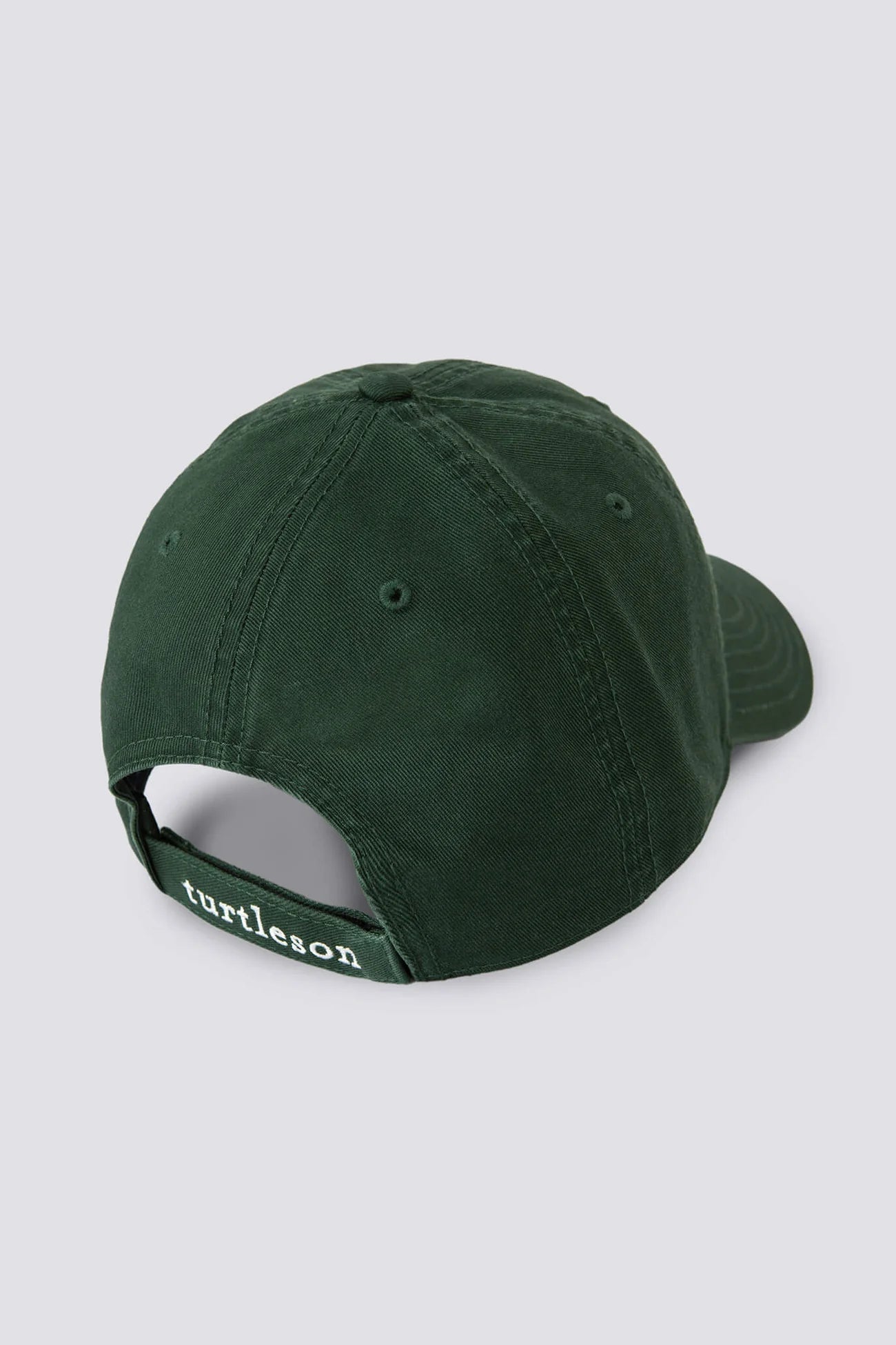 Turtleson Everyday Dad Hat Pine